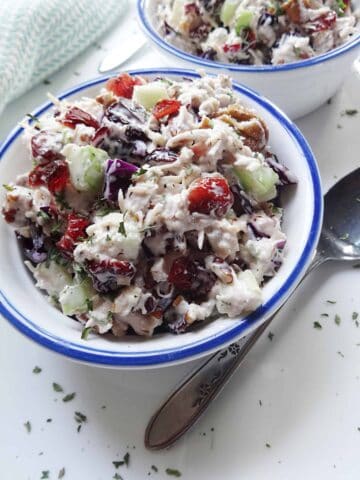 Turkey Salad Recipe with Cranberries