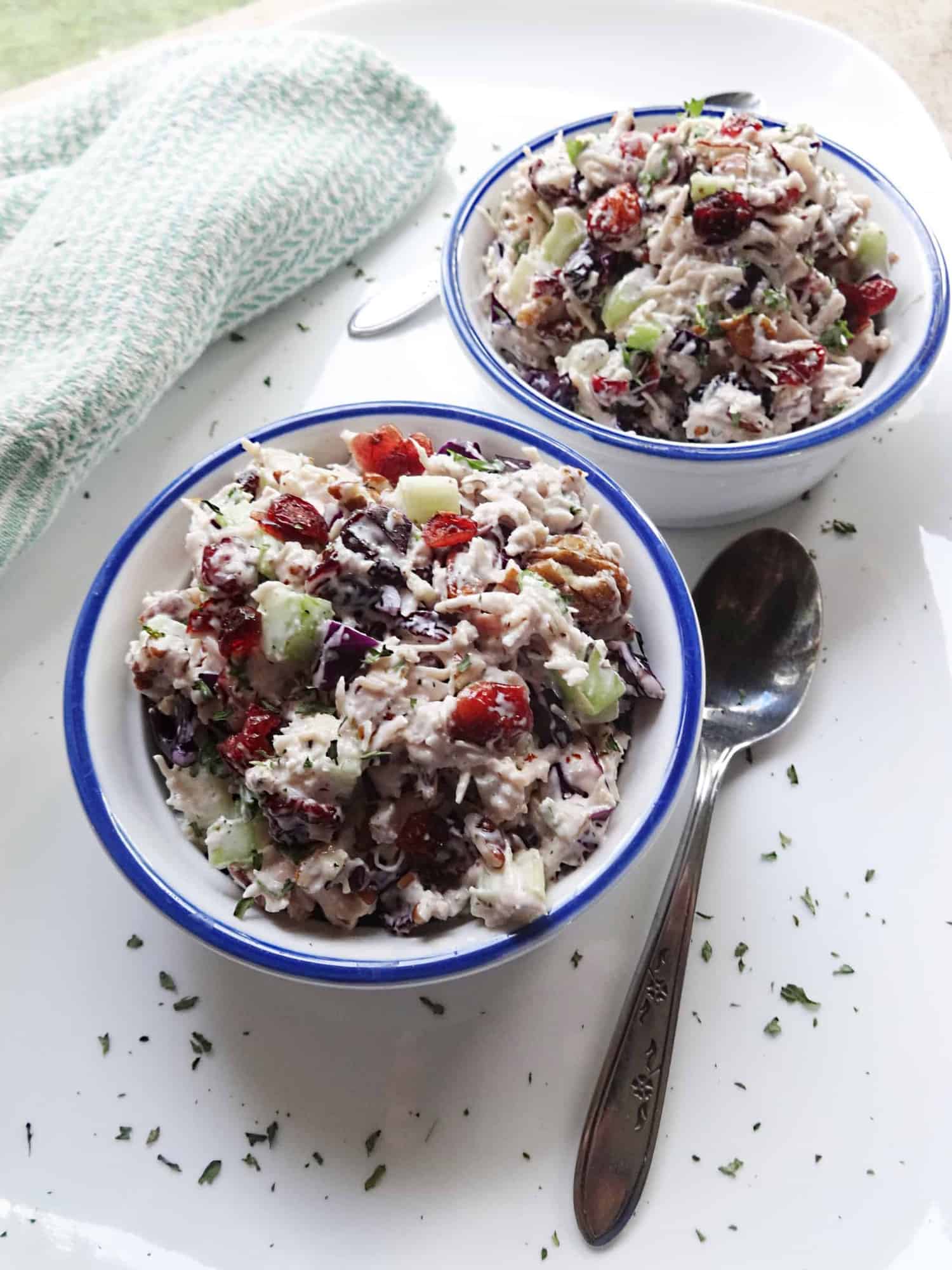 Turkey Salad Recipe with Cranberries