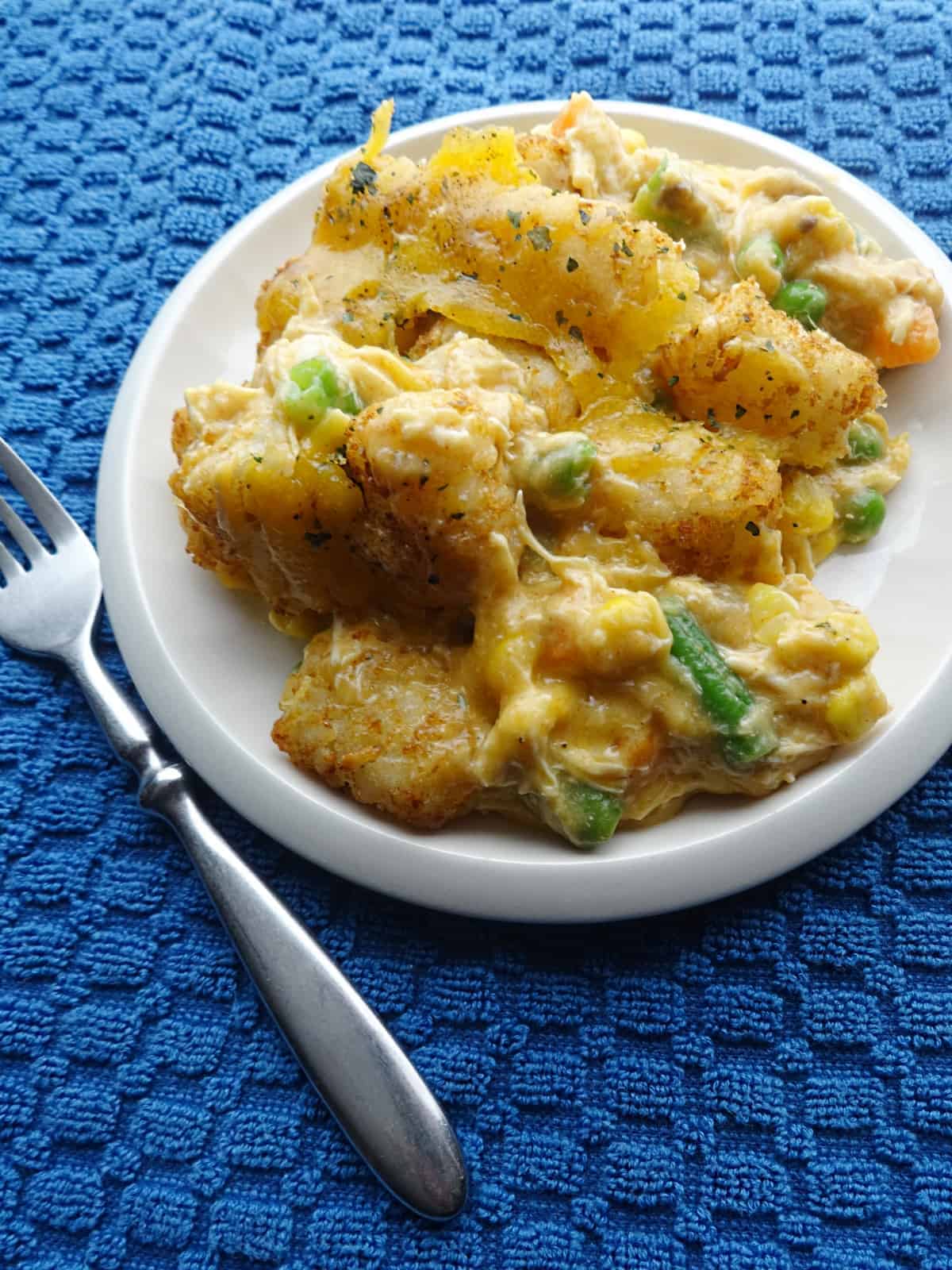 Casserole on plate for dinner