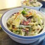 Healthy Coleslaw Recipe with lemon dill dressing
