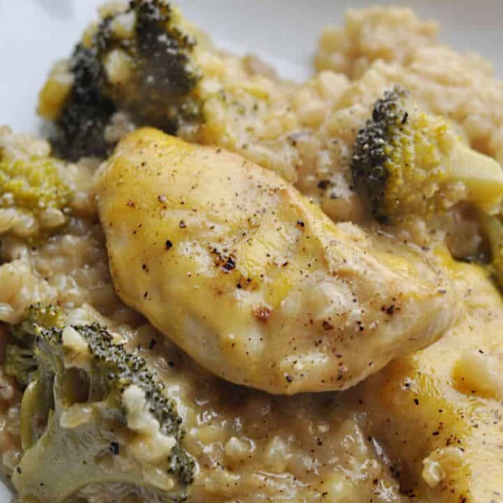 Chicken Broccoli Casserole with Rice on white plate
