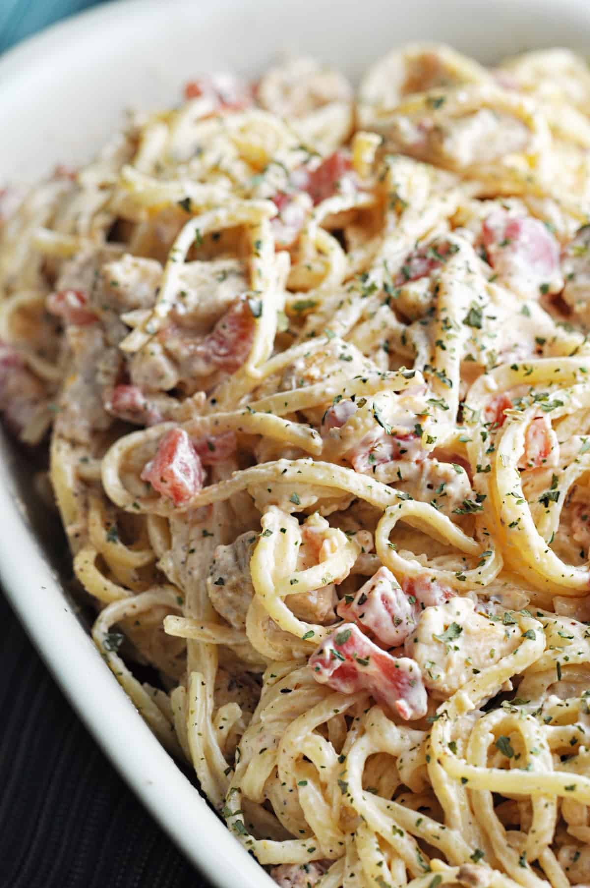 Creamy Chicken Spaghetti on a white plate