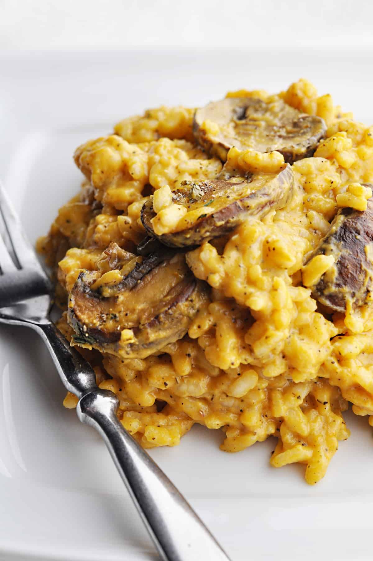 Closeup of pumpkin risotto with mushrooms