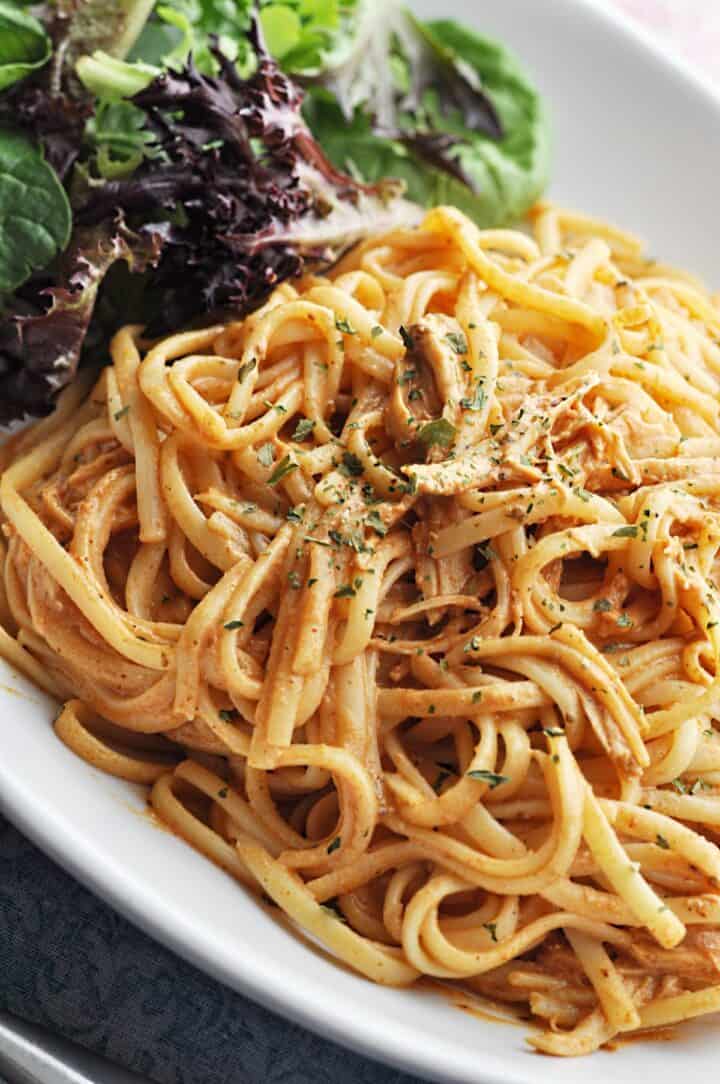 Chicken Spaghetti with Tomato Paste and Cheese closeup