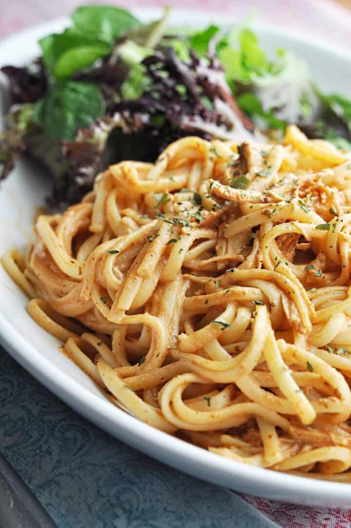 Chicken spaghetti on plate with salad