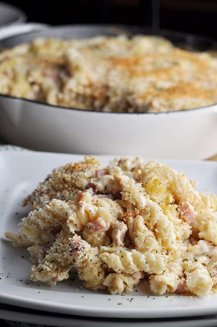 Closeup of pasta dish on plate with pan in the background