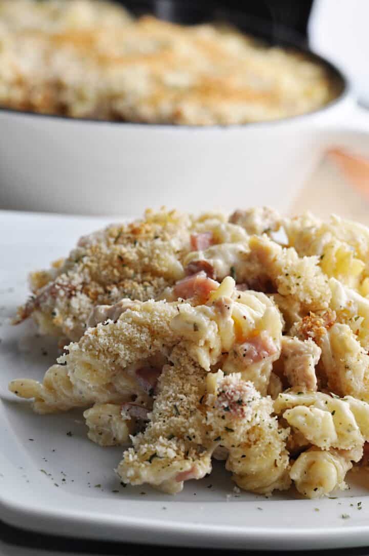 Pasta with chicken and ham and creamy sauce on plate