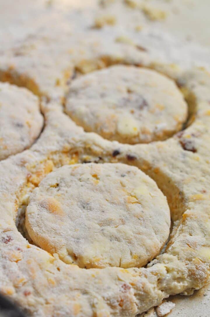 Cut out bacon ranch biscuits