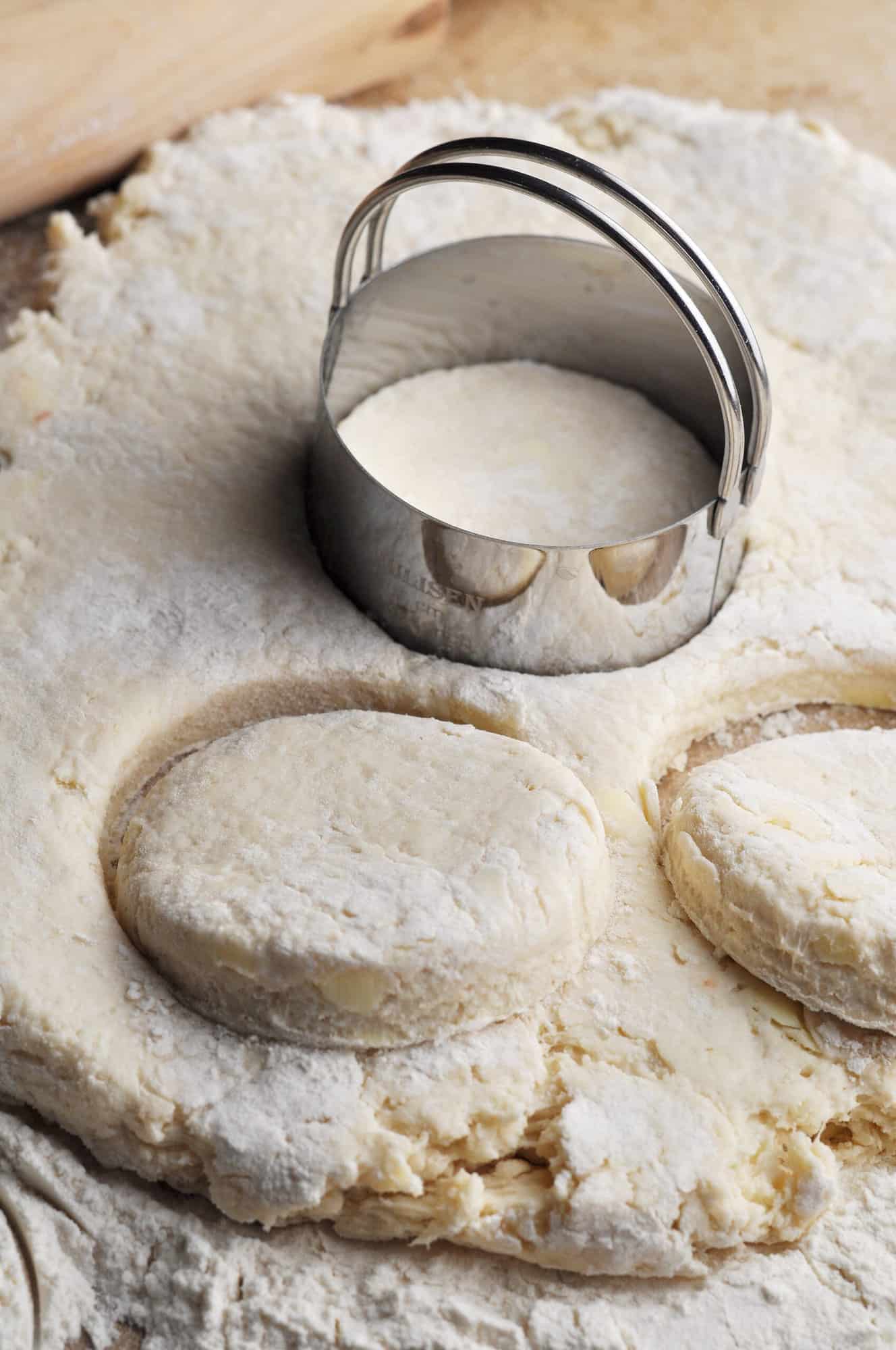 Uncooked biscuit dough rolled out on counter with biscuit cutter.