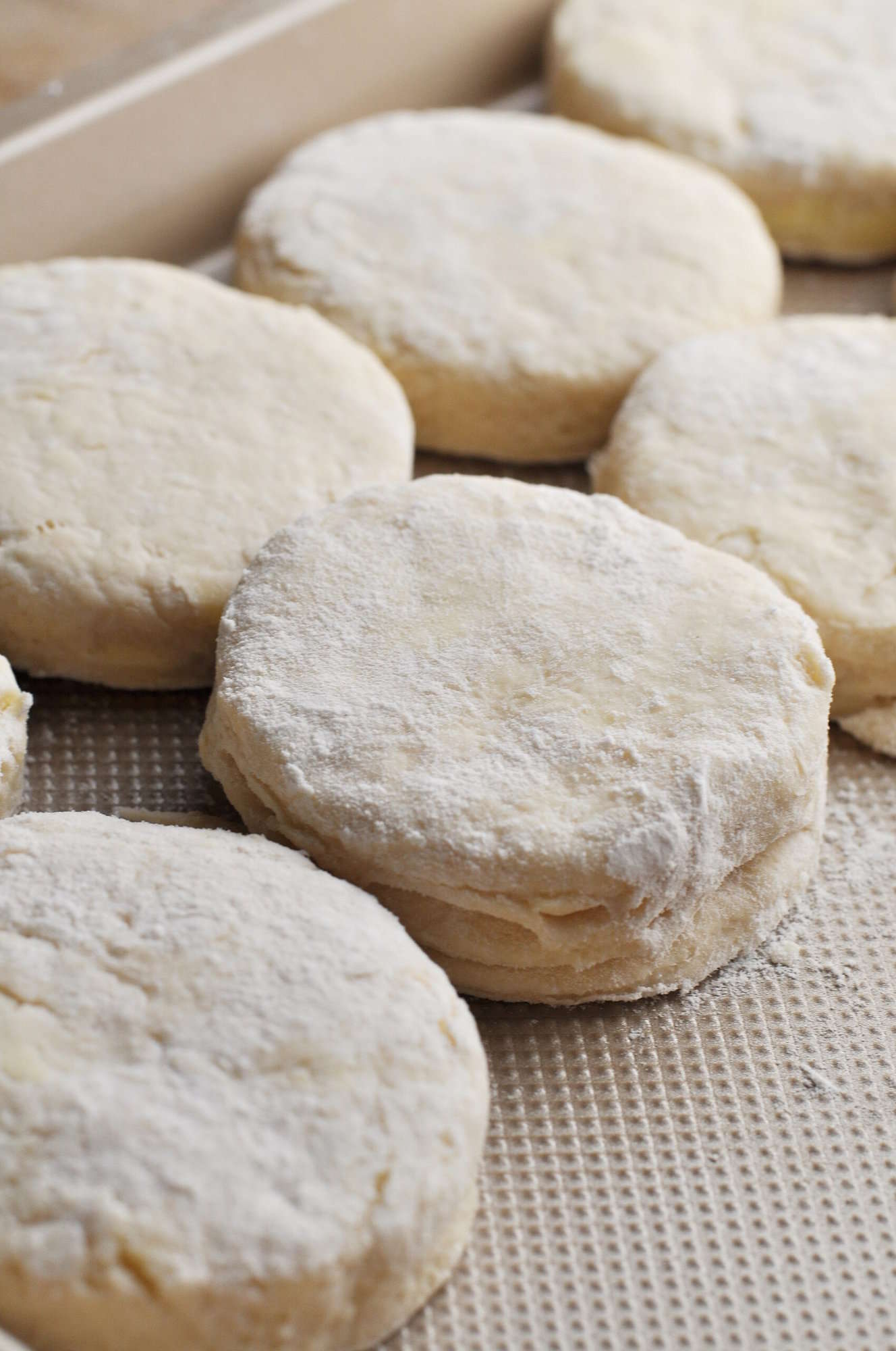 Uncooked biscuits lined up on baking sheet ready to bake.
