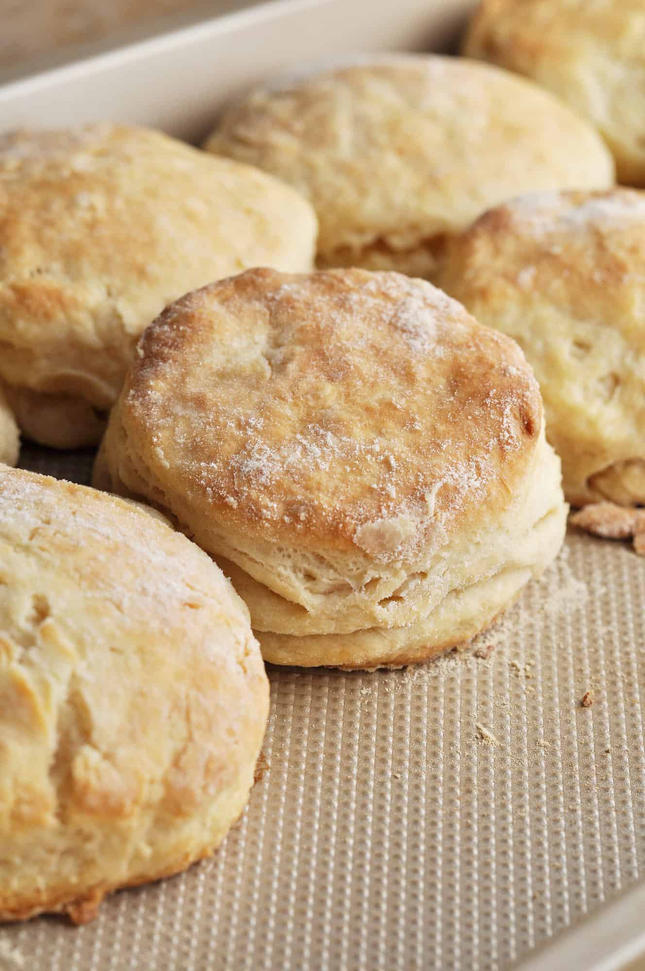 Old Fashioned Southern Biscuits (Ready in Just 20 Minutes!)