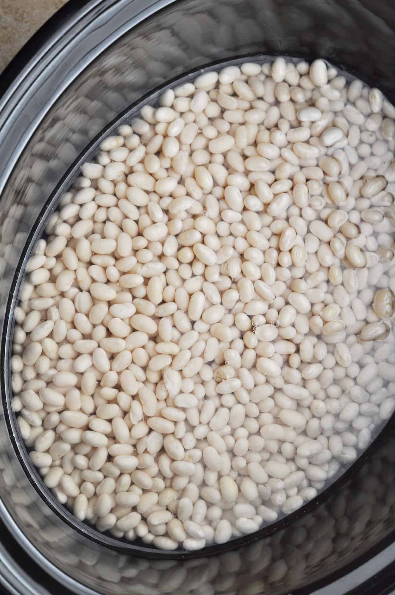 Dry navy beans soaking in water in slow cooker.